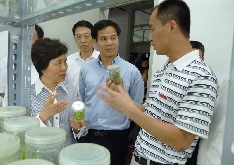 2025年新澳门原料免费