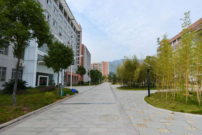2025年新澳门原料免费