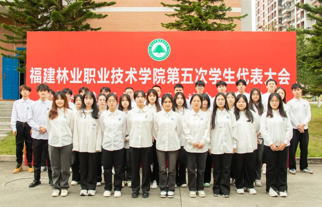 2025年新澳门原料免费