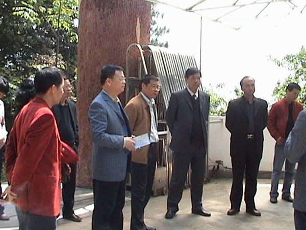 2025年新澳门原料免费