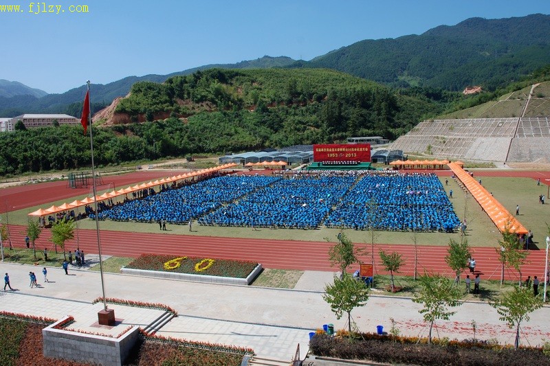 2025年新澳门原料免费