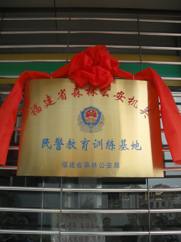 2025年新澳门原料免费