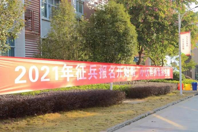 2025年新澳门原料免费