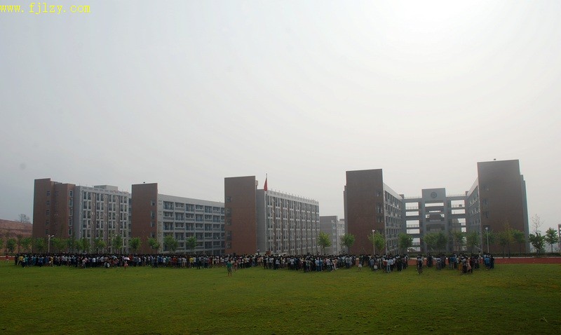 2025年新澳门原料免费