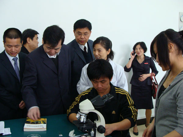 2025年新澳门原料免费