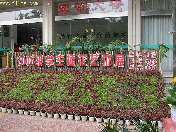 2025年新澳门原料免费