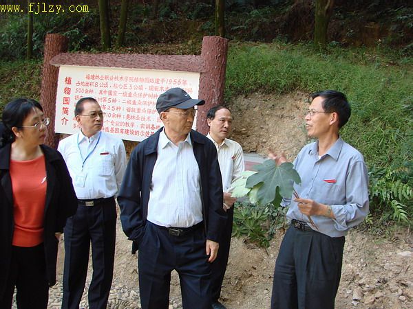 2025年新澳门原料免费
