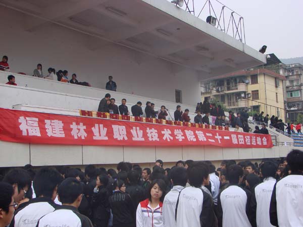 2025年新澳门原料免费