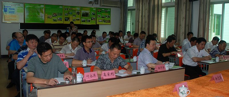 2025年新澳门原料免费