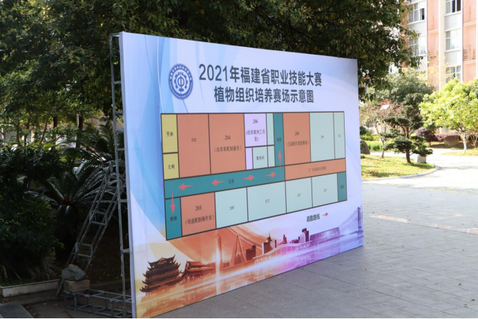 2025年新澳门原料免费