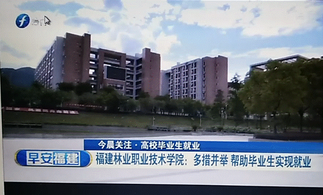 2025年新澳门原料免费