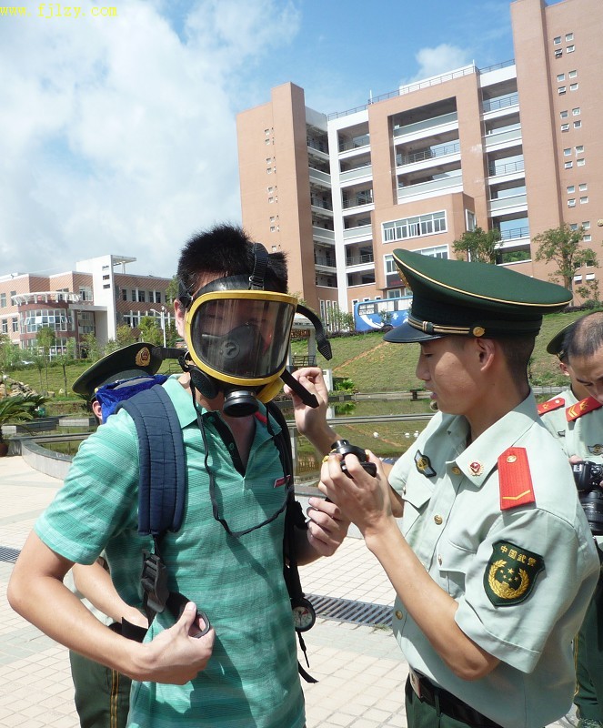 2025年新澳门原料免费