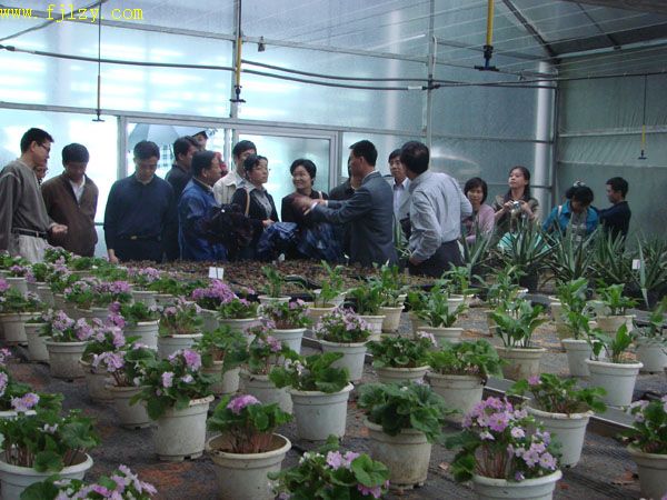 2025年新澳门原料免费