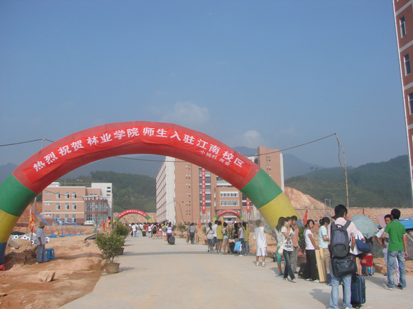2025年新澳门原料免费
