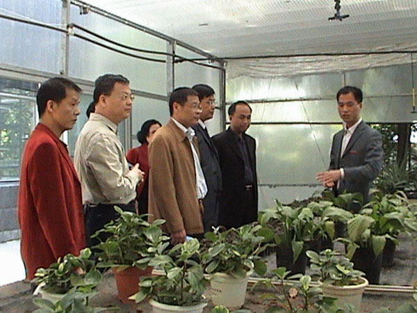 2025年新澳门原料免费