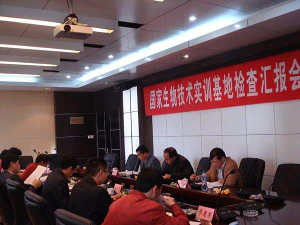 2025年新澳门原料免费