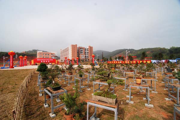 2025年新澳门原料免费