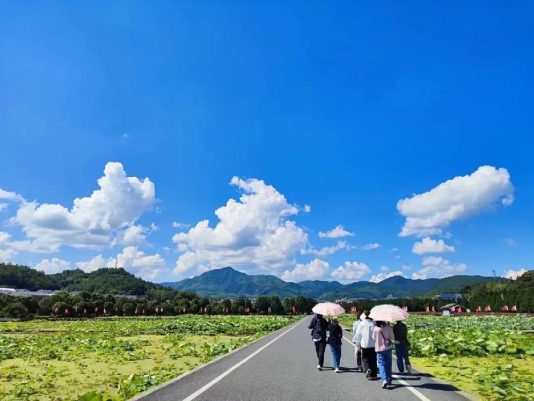 2025年新澳门原料免费 2025年新澳门原料免费