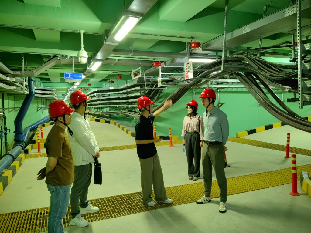2025年新澳门原料免费 2025年新澳门原料免费