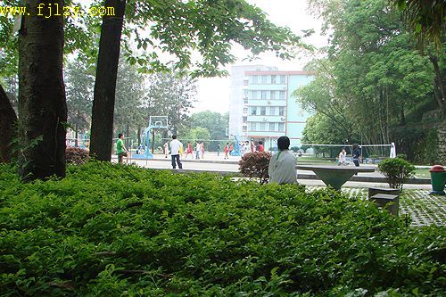 2025年新澳门原料免费