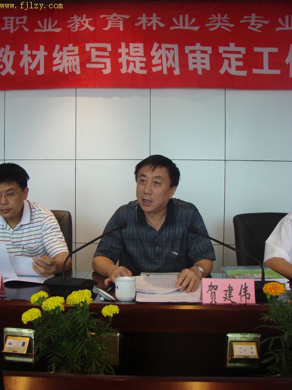 2025年新澳门原料免费