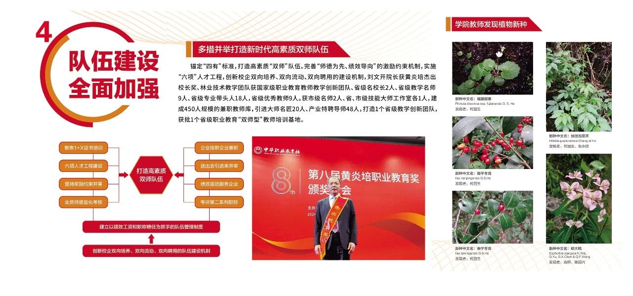 2025年新澳门原料免费