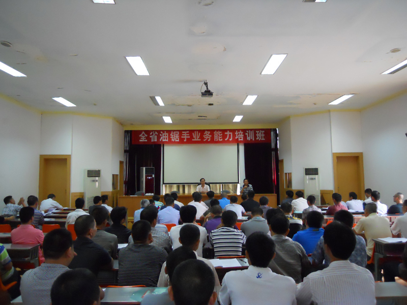 2025年新澳门原料免费