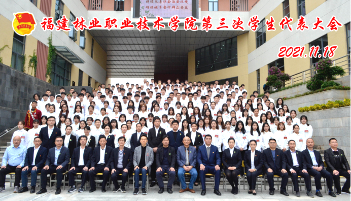 2025年新澳门原料免费