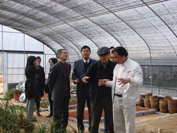 2025年新澳门原料免费