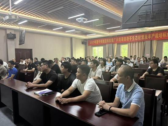 2025年新澳门原料免费