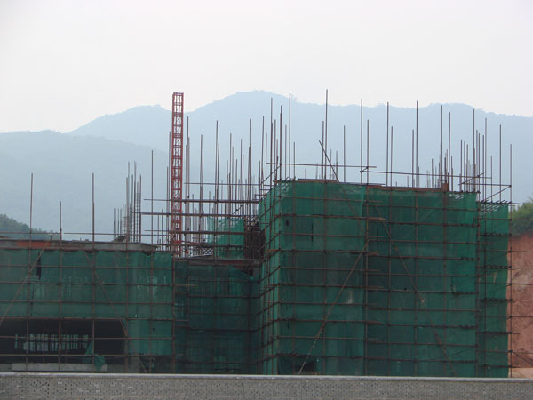 2025年新澳门原料免费