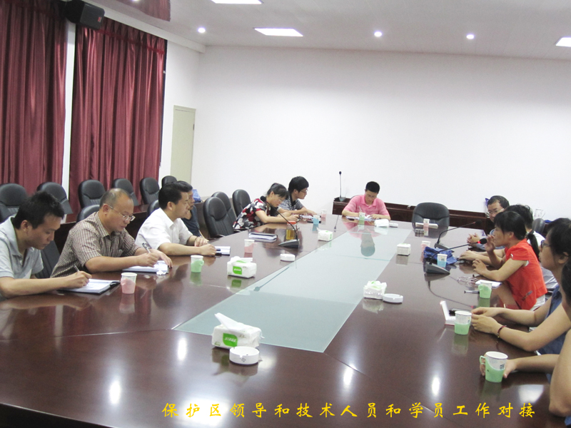 2025年新澳门原料免费