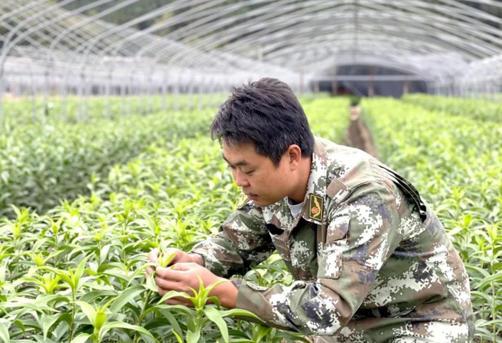 2025年新澳门原料免费