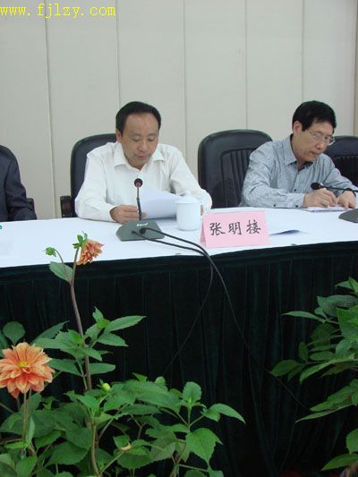 2025年新澳门原料免费