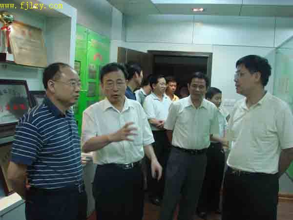2025年新澳门原料免费