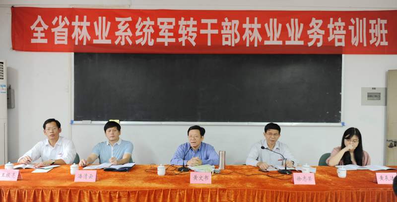 2025年新澳门原料免费