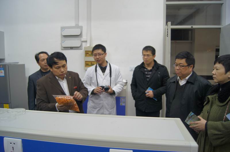 2025年新澳门原料免费
