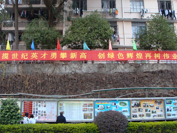 2025年新澳门原料免费