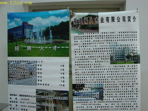 2025年新澳门原料免费