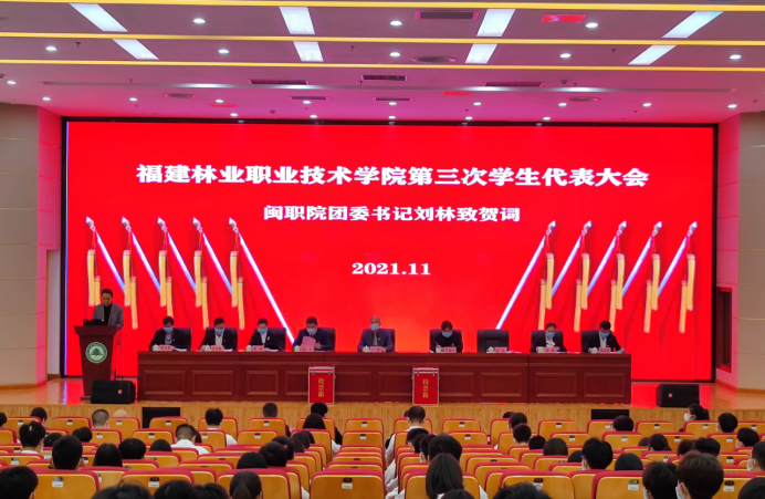 2025年新澳门原料免费