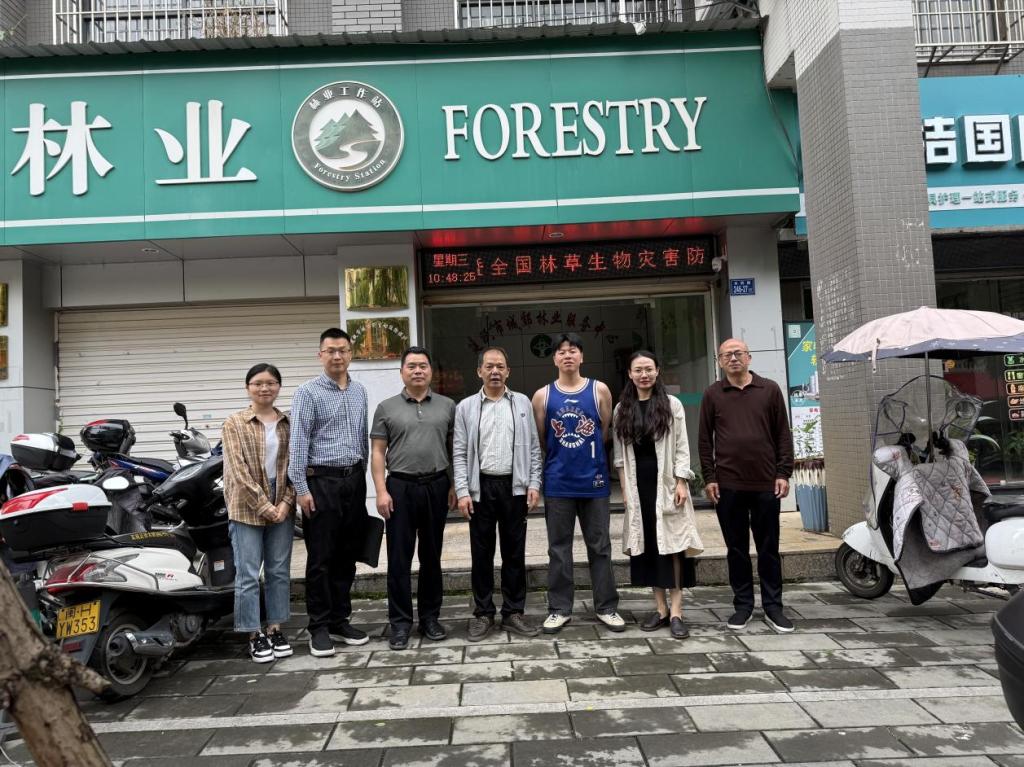 2025年新澳门原料免费