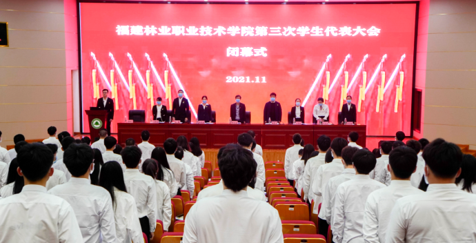 2025年新澳门原料免费