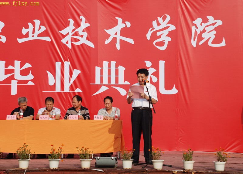 2025年新澳门原料免费