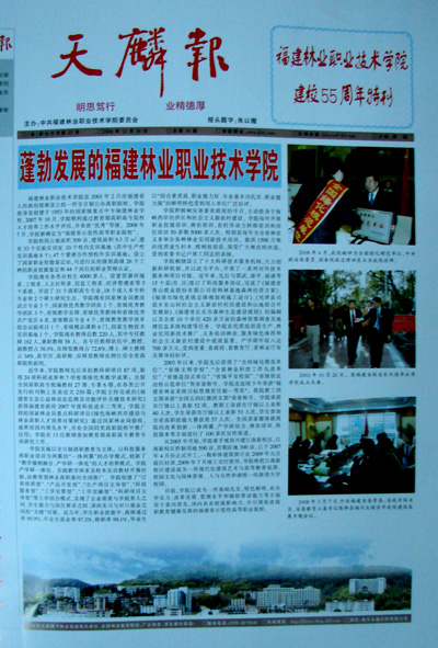 2025年新澳门原料免费