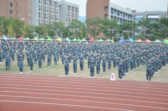 2025年新澳门原料免费
