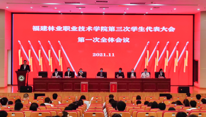 2025年新澳门原料免费