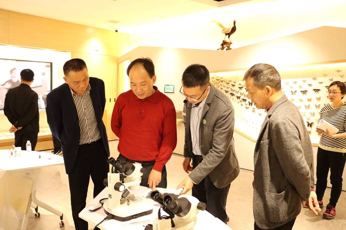 2025年新澳门原料免费
