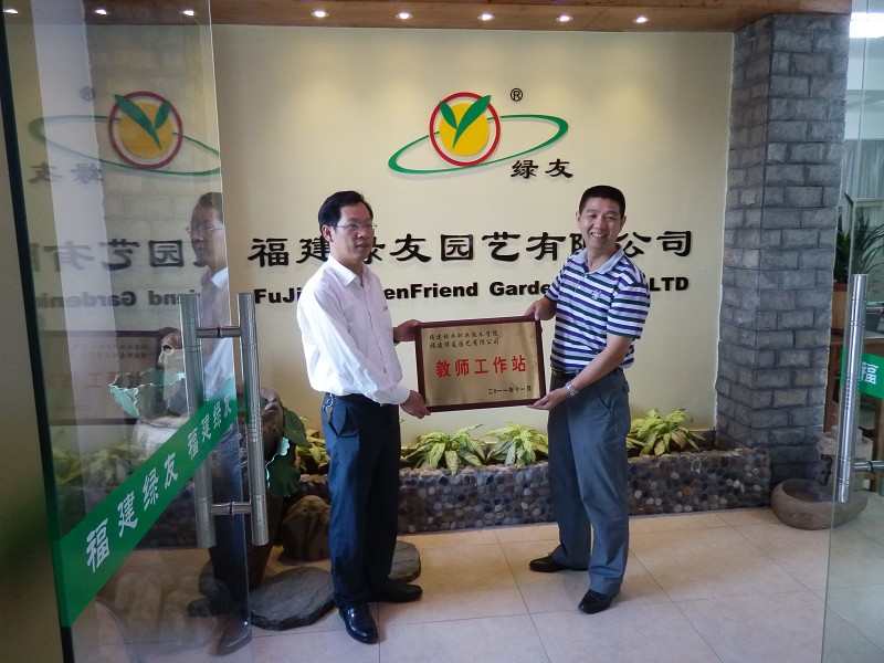 2025年新澳门原料免费