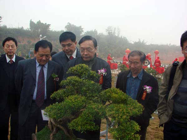 2025年新澳门原料免费