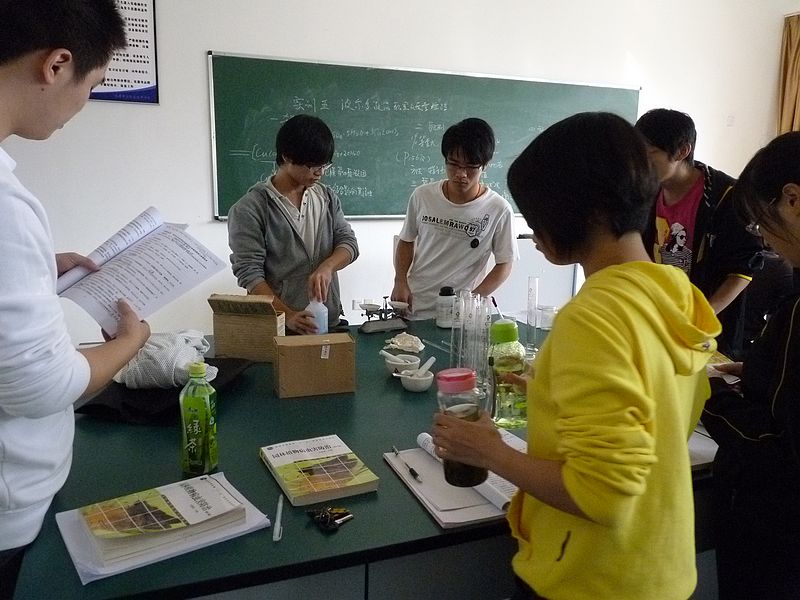 2025年新澳门原料免费
